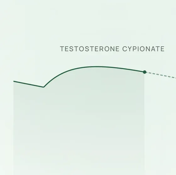 Real PinPoint onboarding crop showing a TRT modeled level curve